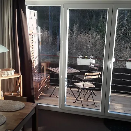 Ferienapartment Mit Sauna * Braunlage